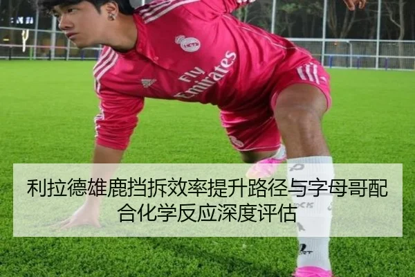 利拉德雄鹿挡拆效率提升路径与字母哥配合化学反应深度评估