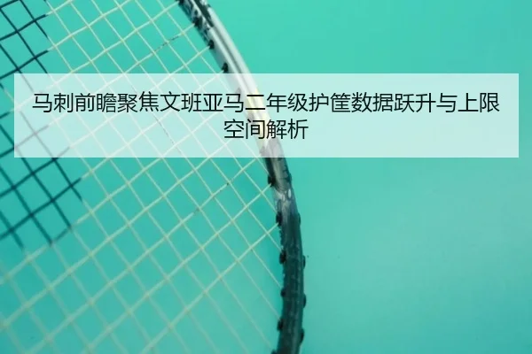 马刺前瞻聚焦文班亚马二年级护筐数据跃升与上限空间解析